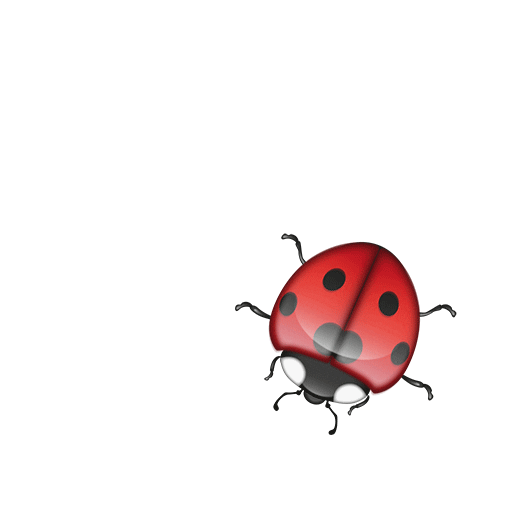 ladybug crawling pest control fl