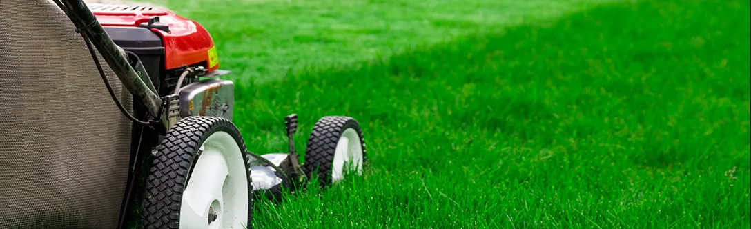 lawn care caintenance central fl tips