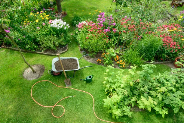 A well-maintained garden with vibrant shrubs and flowers, showcasing professional shrub care services.