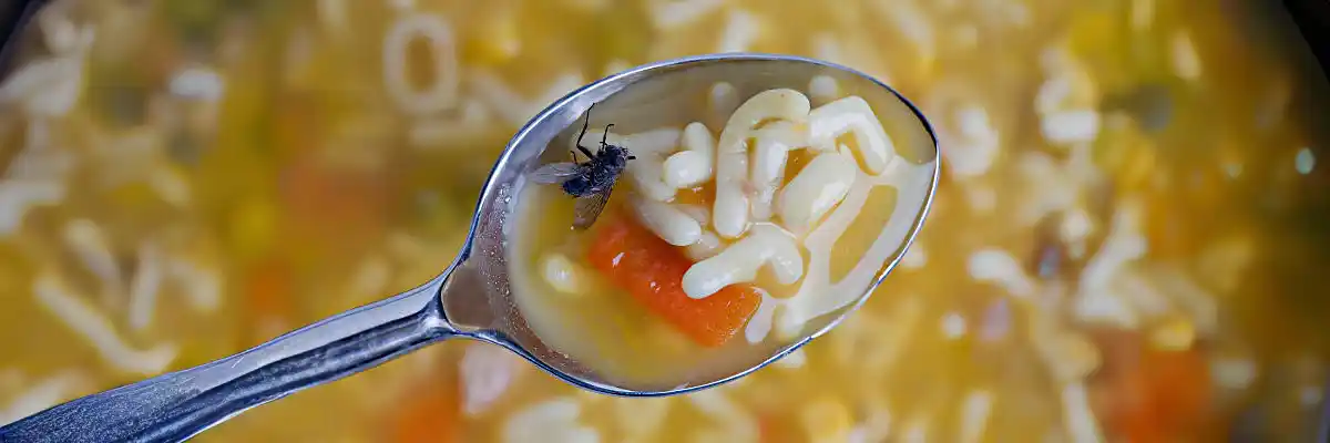 Pest Control Food Industry Fly Soup