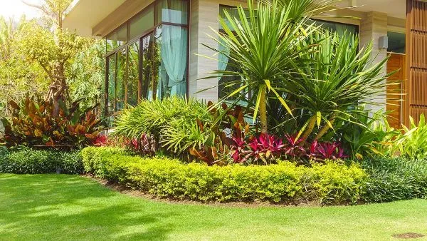 A beautifully landscaped garden with vibrant plants and a lush green lawn in Celebration, showcasing the lawn care services by Termite Lawn and Pest.