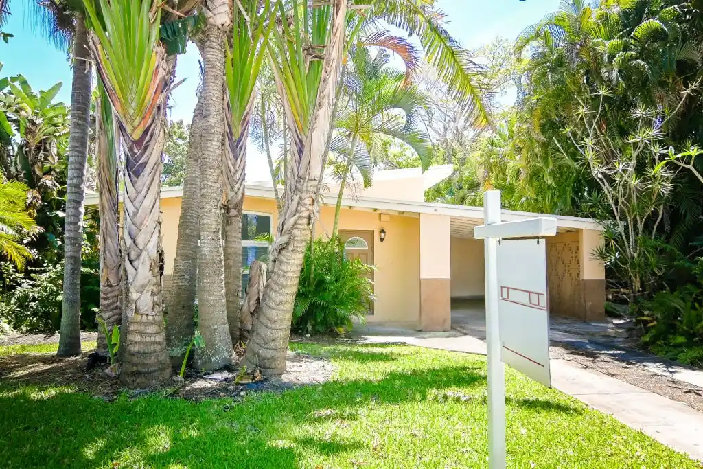 Front yard with a well-maintained lawn and healthy palm trees in front of a house, showcasing the benefits of professional Celebration lawn care services.