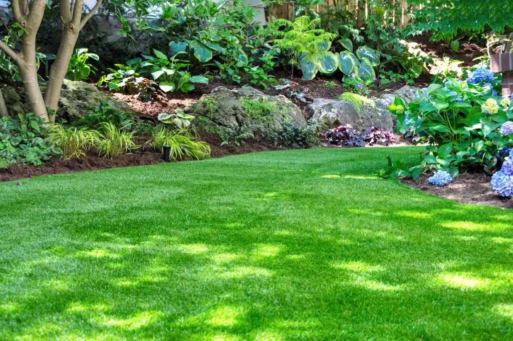Lush green lawn bordered by well-maintained plants and rock formations, representing the high-quality services offered by Four Corners lawn care.
