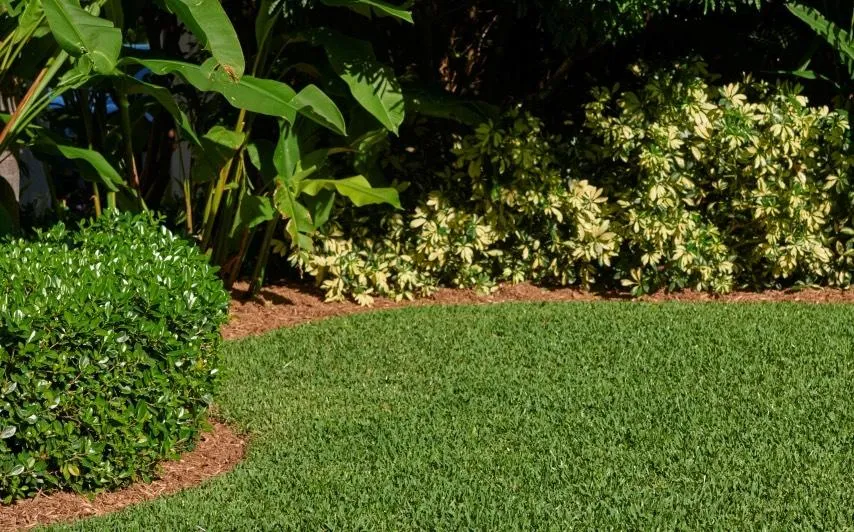 Well-manicured green lawn bordered by lush shrubs and plants, illustrating the high-quality results of professional Kissimmee lawn care services.