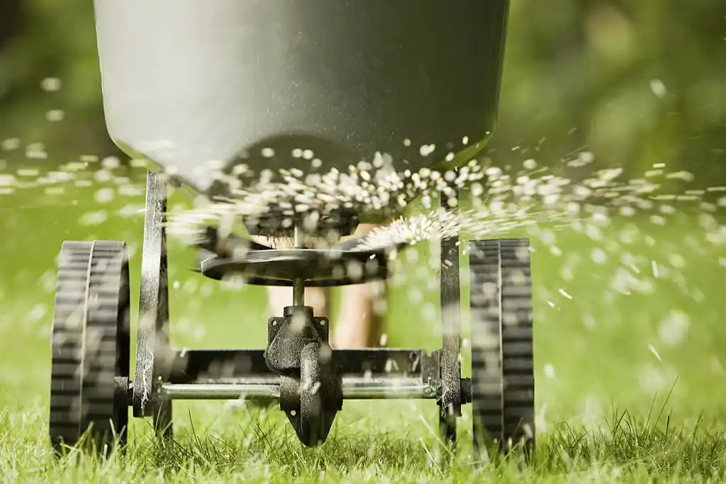 Close-up of a lawn spreader distributing fertilizer on a lush green lawn, representing professional Lake Mary lawn care services.
