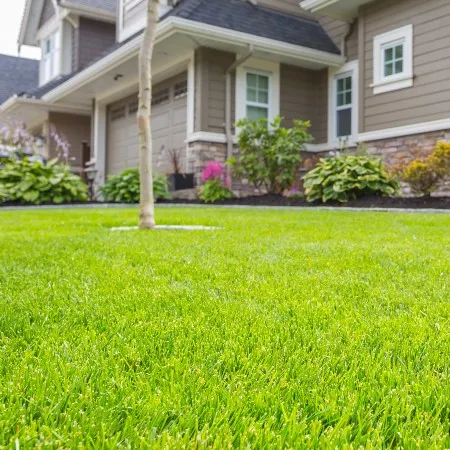 A beautifully maintained green lawn in front of a house, showcasing the lawn care services that we provide in Lake Mary, FL.