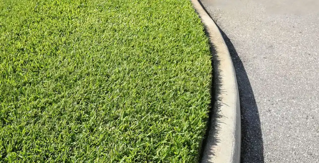 Vibrant green grass along a curb in Lake Nona, Florida, showcasing quality lawn care.