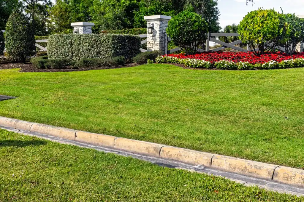 Well-maintained curb with lush green grass in Longwood, Florida showcasing excellent Longwood lawn care.