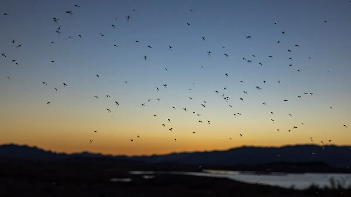 A swarm of mosquitoes against a sunset backdrop, emphasizing the need for professional mosquito control services in Mount Dora to enjoy outdoor spaces comfortably.