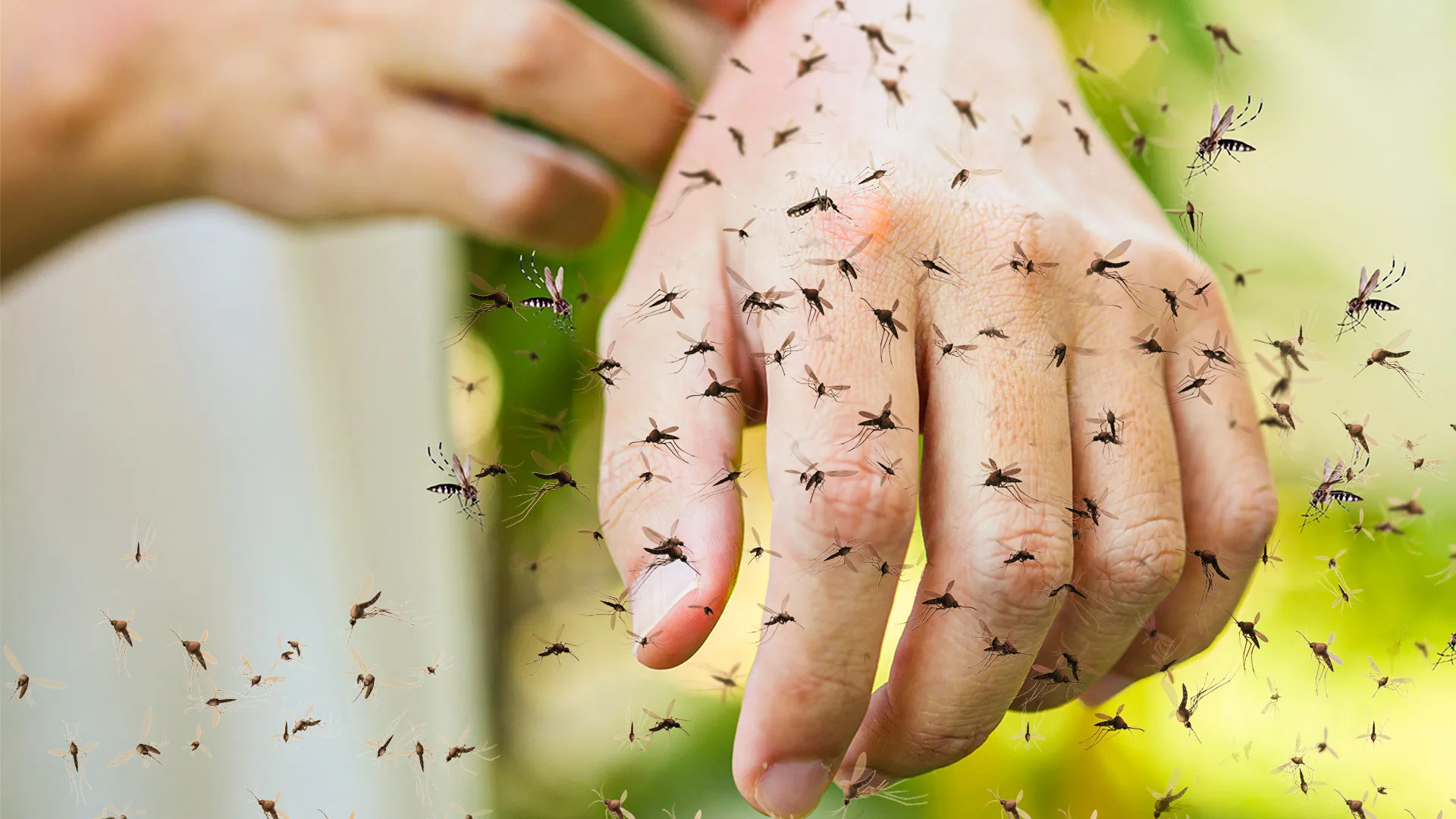 Close-up of a hand surrounded by mosquitoes, emphasizing the need for Orlando mosquito control services.