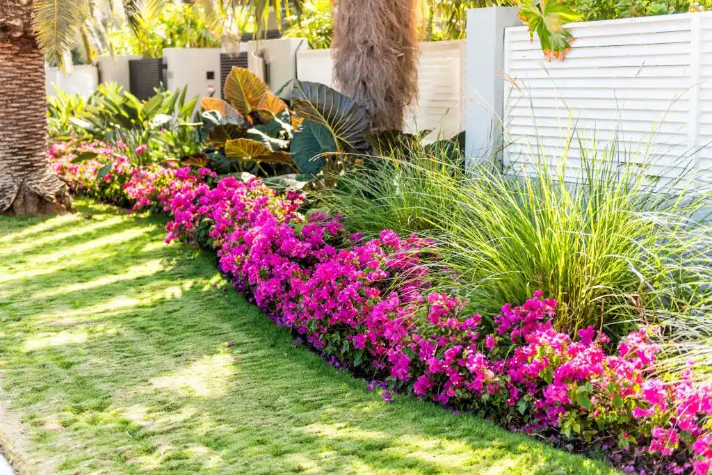 Garden bed with vibrant pink flowers and healthy green shrubs, showcasing the results of professional Orlando shrub care services.