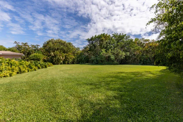 Image of a well-maintained, lush green lawn with trees in the background, illustrating the results of professional lawn care services in Sanford.