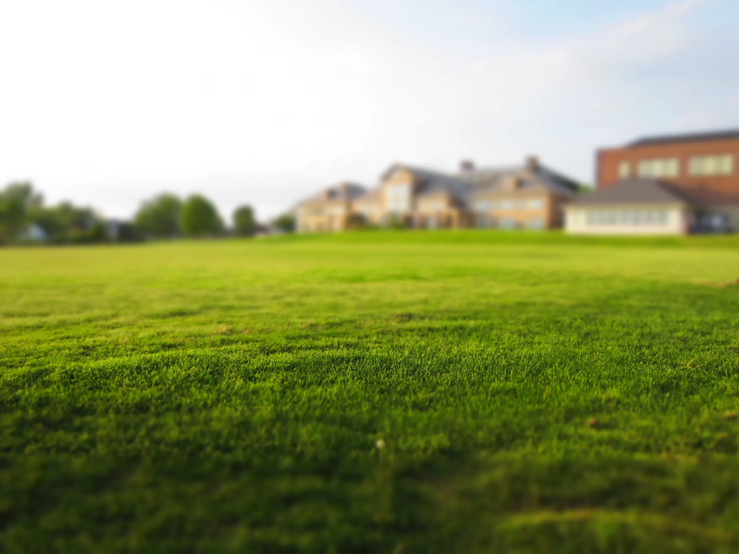 A lush green lawn with a spreader, illustrating our professional lawn care services in Windermere.