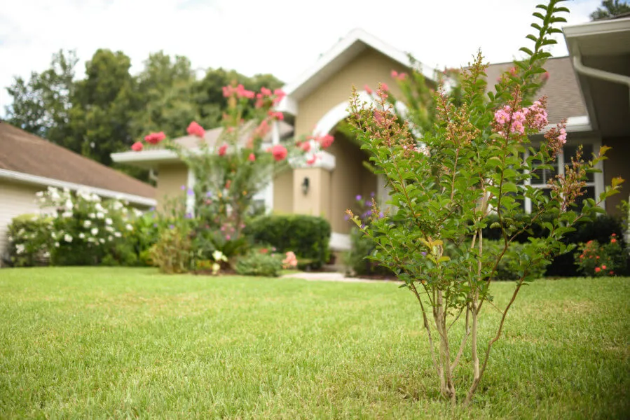 A well-maintained lawn with vibrant plants and flowers in front of a house in Winter Garden, showcasing premium lawn care services.