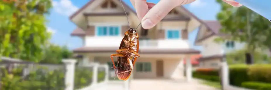 Hand holding a dead cockroach in front of a residential home, highlighting common pest control mistakes in Central Florida.