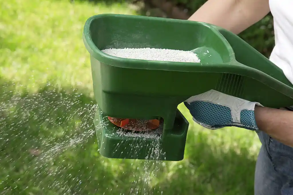 Person applying fertilizer to a lawn, highlighting Maitland lawn care services.