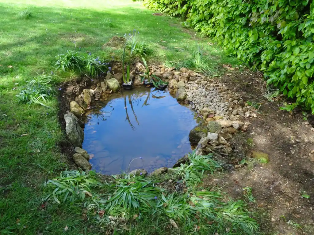 Garden pond surrounded by greenery, emphasizing the need for Mount Dora mosquito control to prevent mosquito breeding in water features.