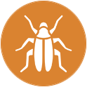 Icon of a white insect on an orange background representing pest control and lawn care services.