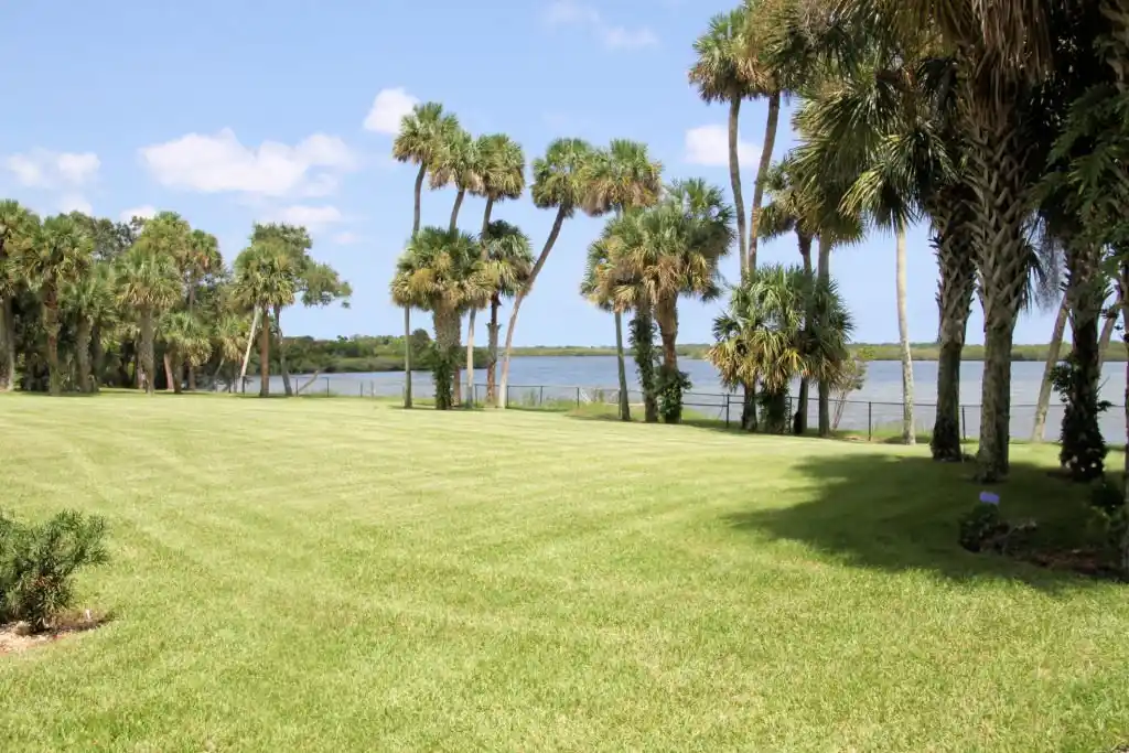 Beautifully maintained lawn in Winter Park, showcasing the results of professional lawn care services for a healthy and vibrant landscape.