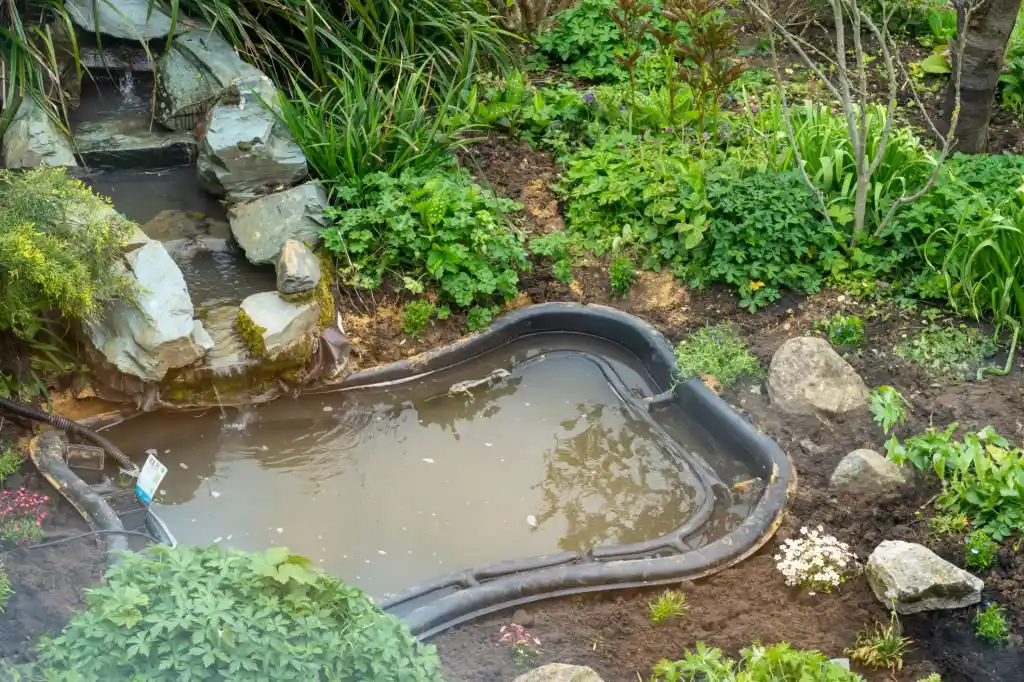 Stagnant water in a garden pond, highlighting the need for Winter Park mosquito control to prevent mosquito breeding.