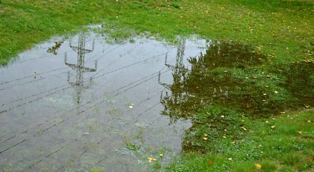 Image of standing water on a lawn, highlighting the importance of mosquito control and prevention in Winter Springs.